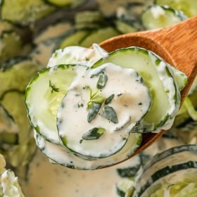 Close-up of refreshing Creamy Cucumber Salad garnished with fresh dill, per Blackstone Recipes.